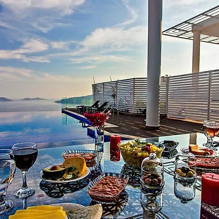 An Amazing With Infinity Pool View Villa